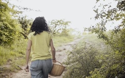 The Green Splash: A Journey of Roots, Science, and Passion