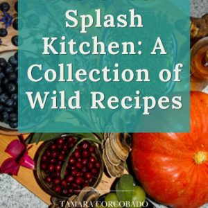 TheGreenSplash Kitchen