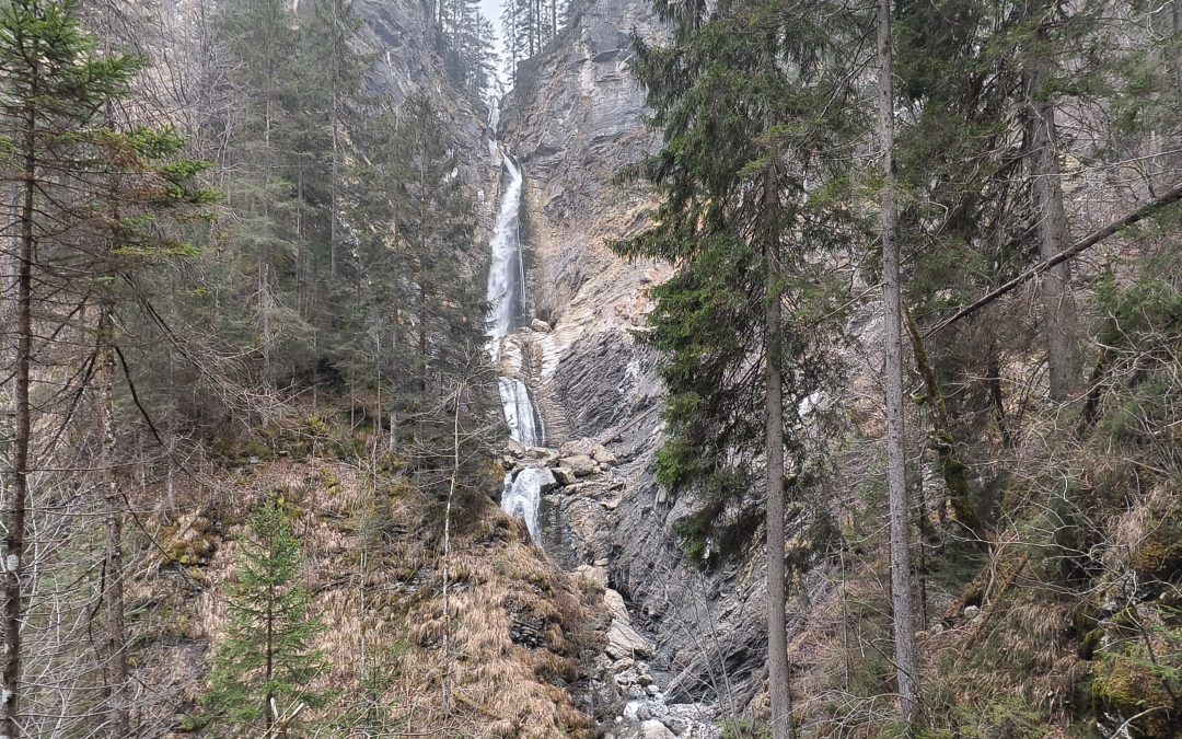 Holistic Well-being Through Nature