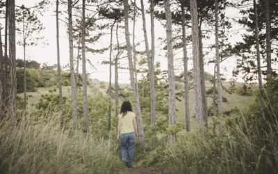 Reconnecting with Nature: Returning to Our Essence